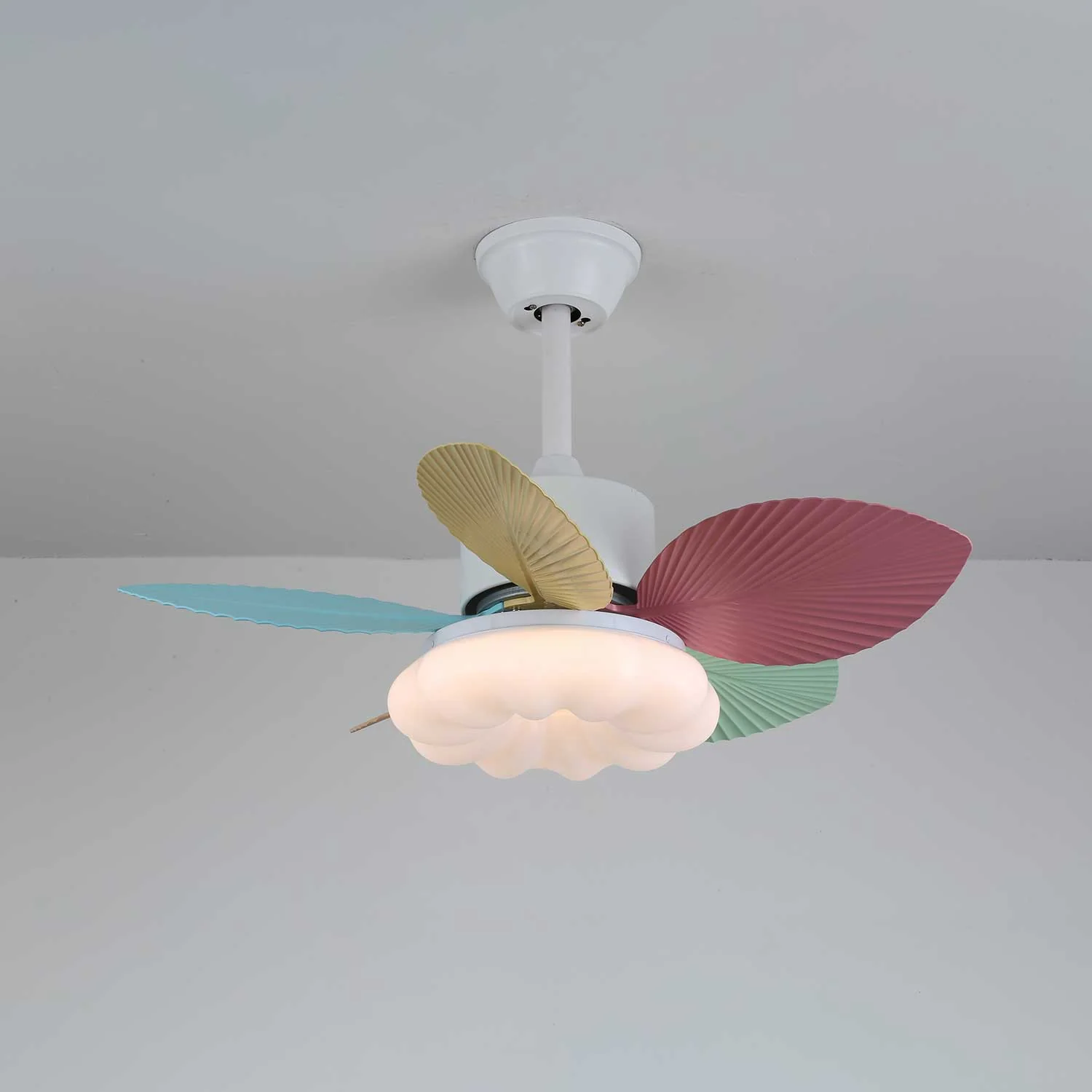 Product image 50
