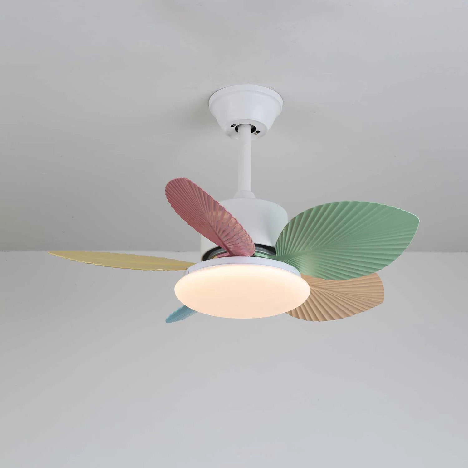 Product image 55