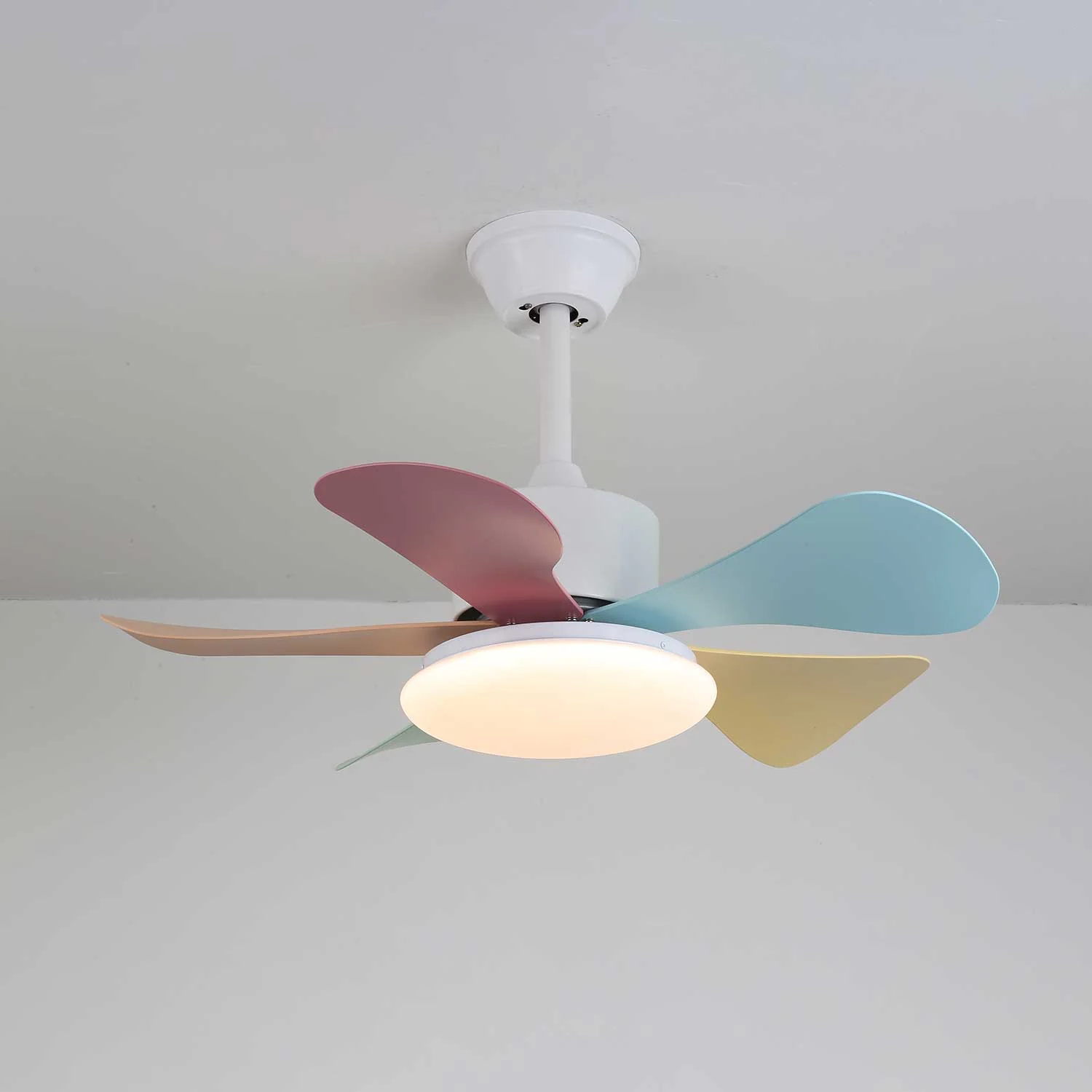 Product image 62