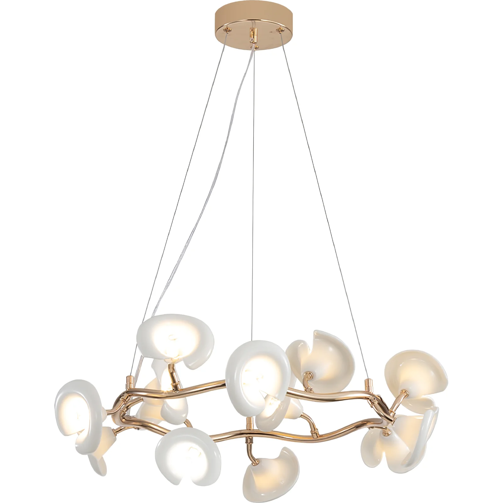 Product image 43