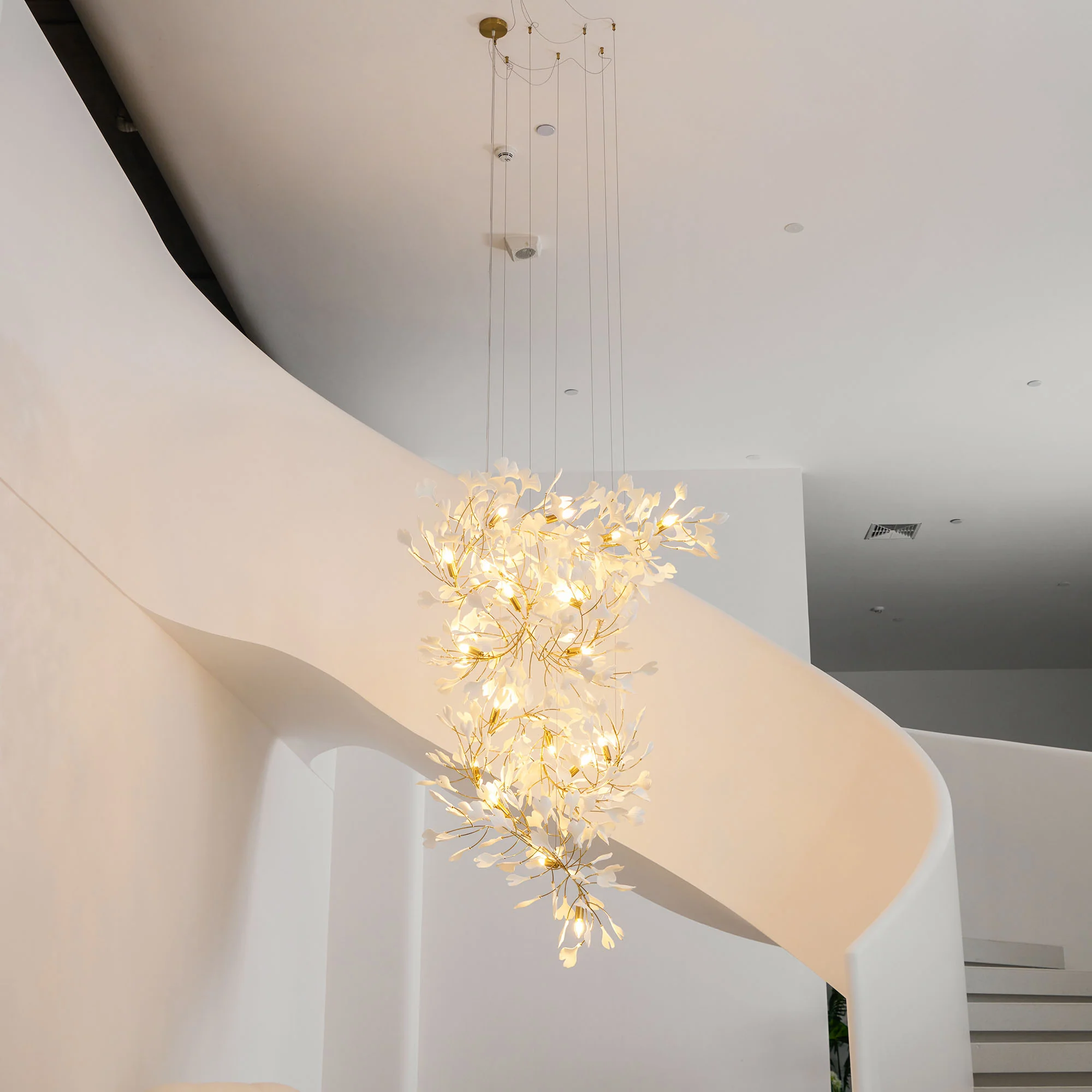 Product image 64