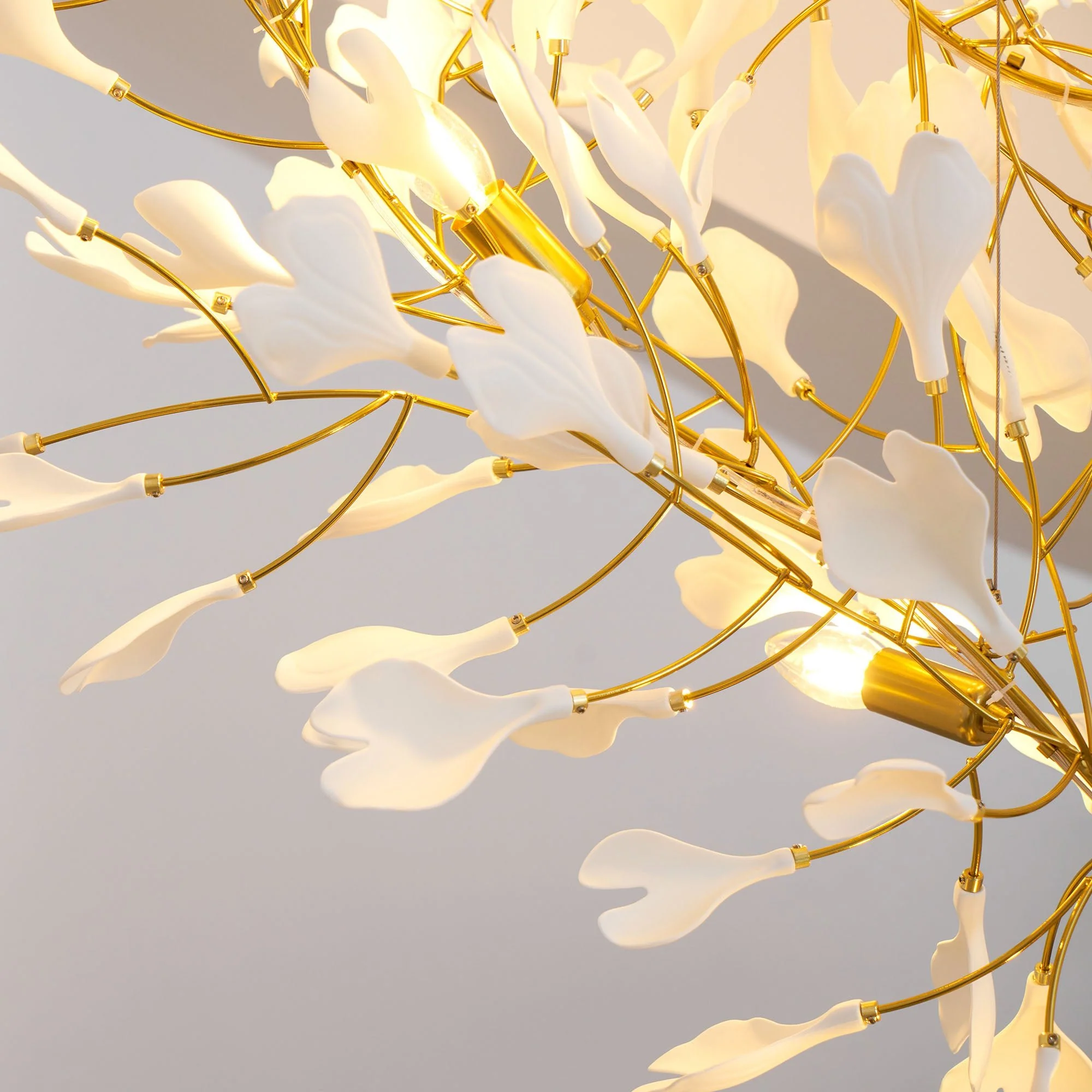 Product image 65