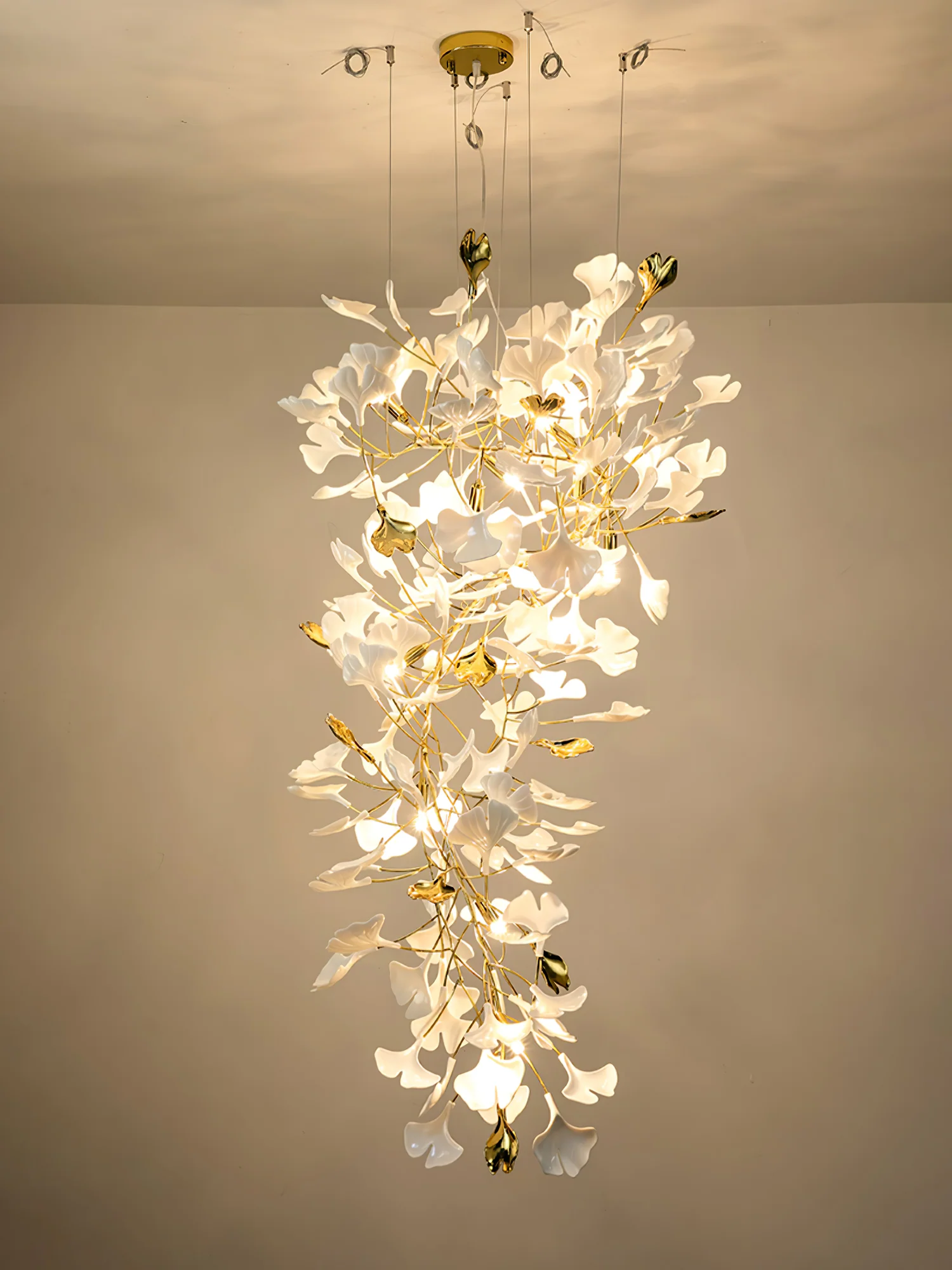 Product image 63