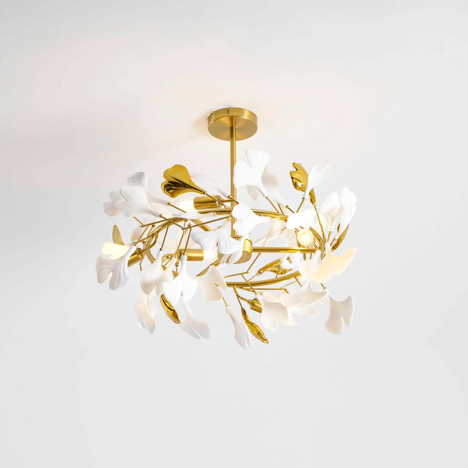 Product image 71