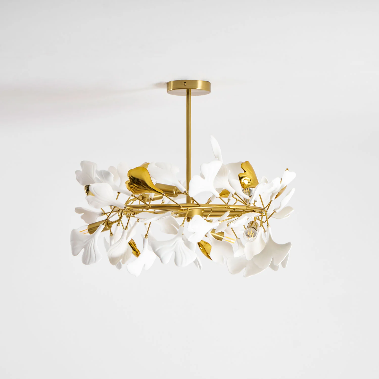 Product image 74