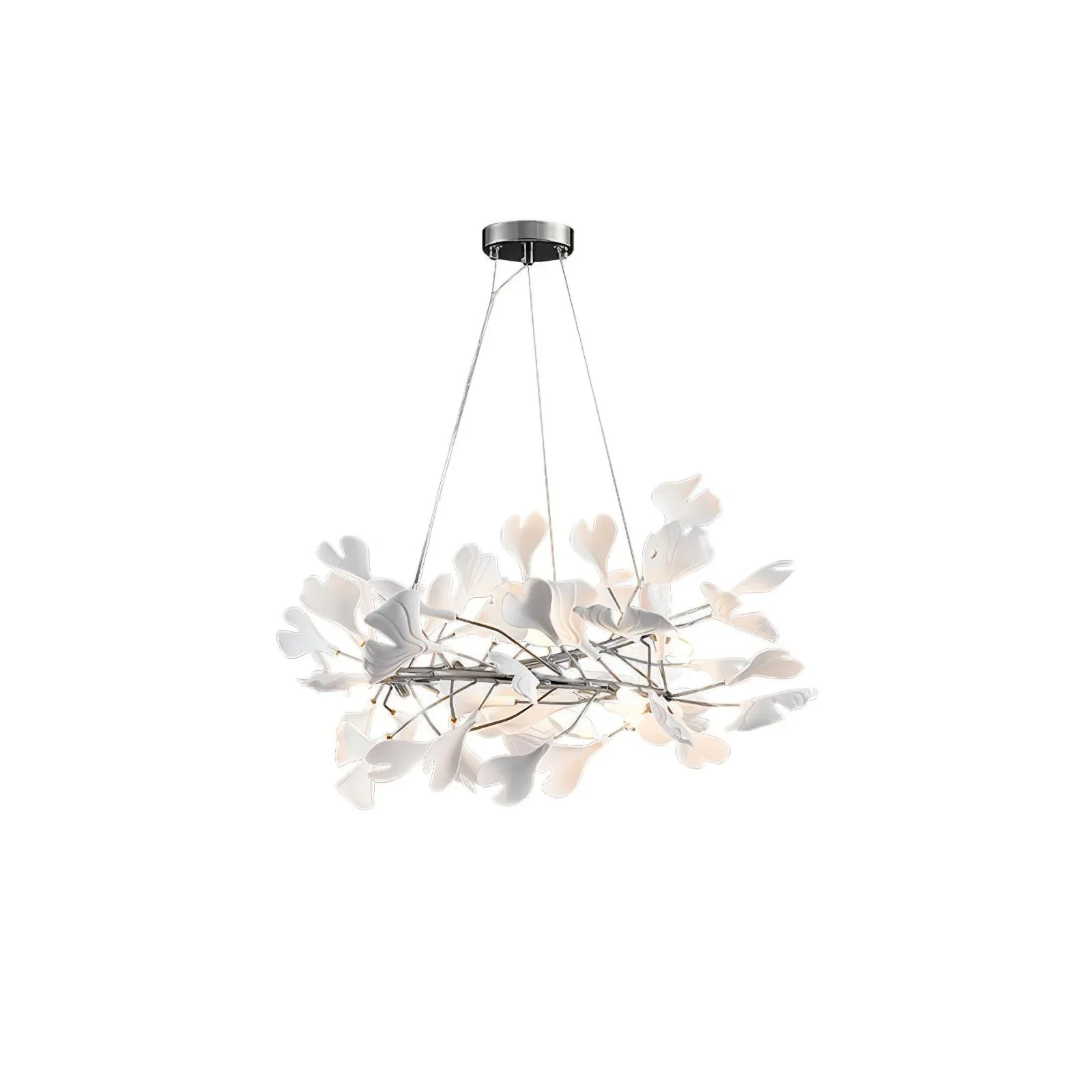 Product image 51