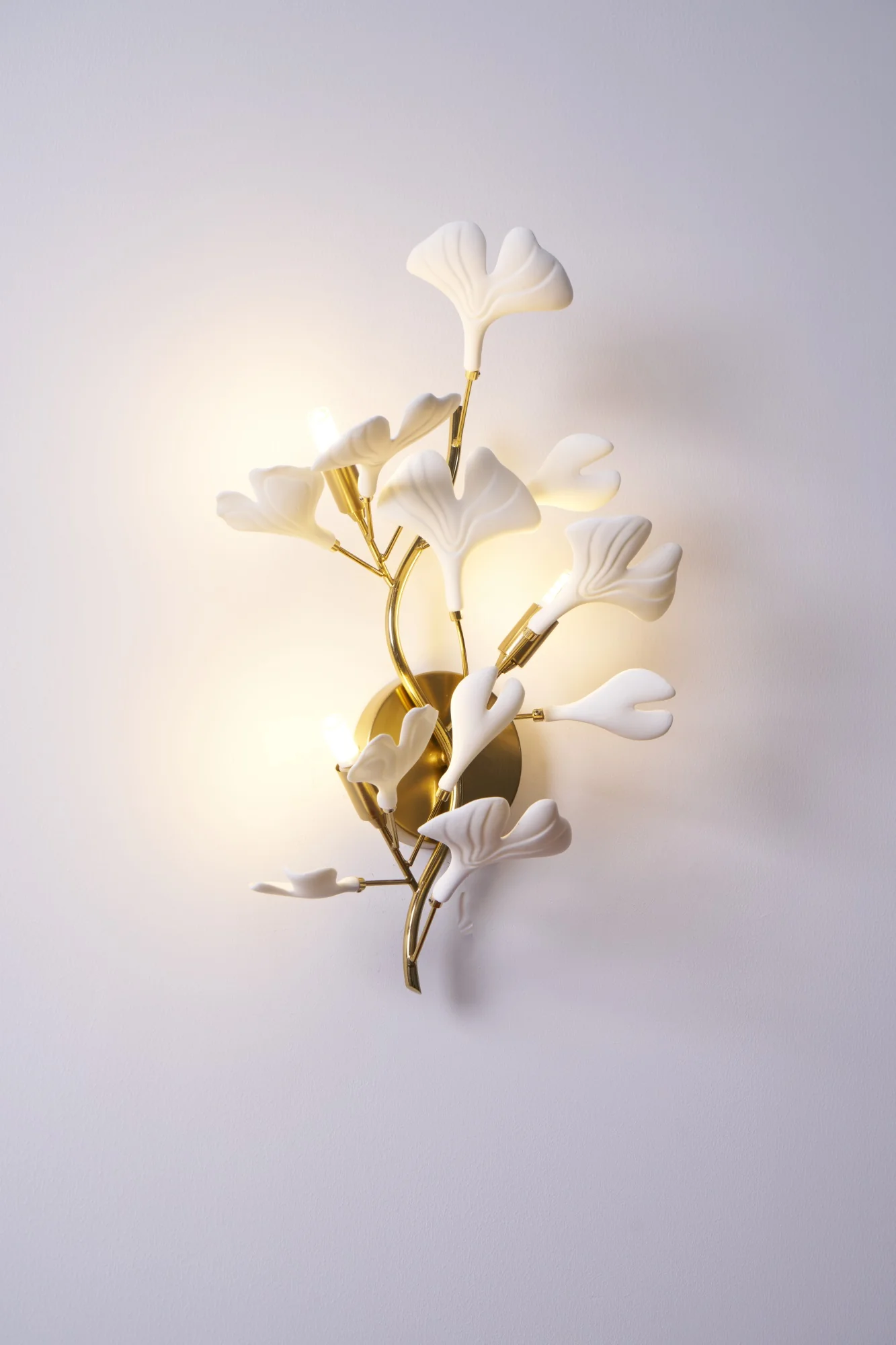 Product image 66