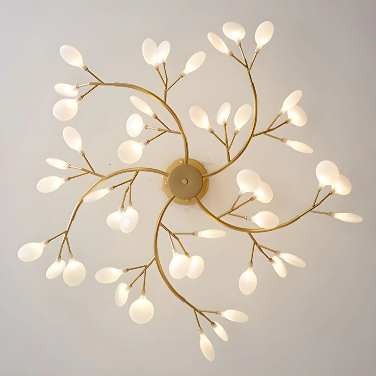 Product image 66
