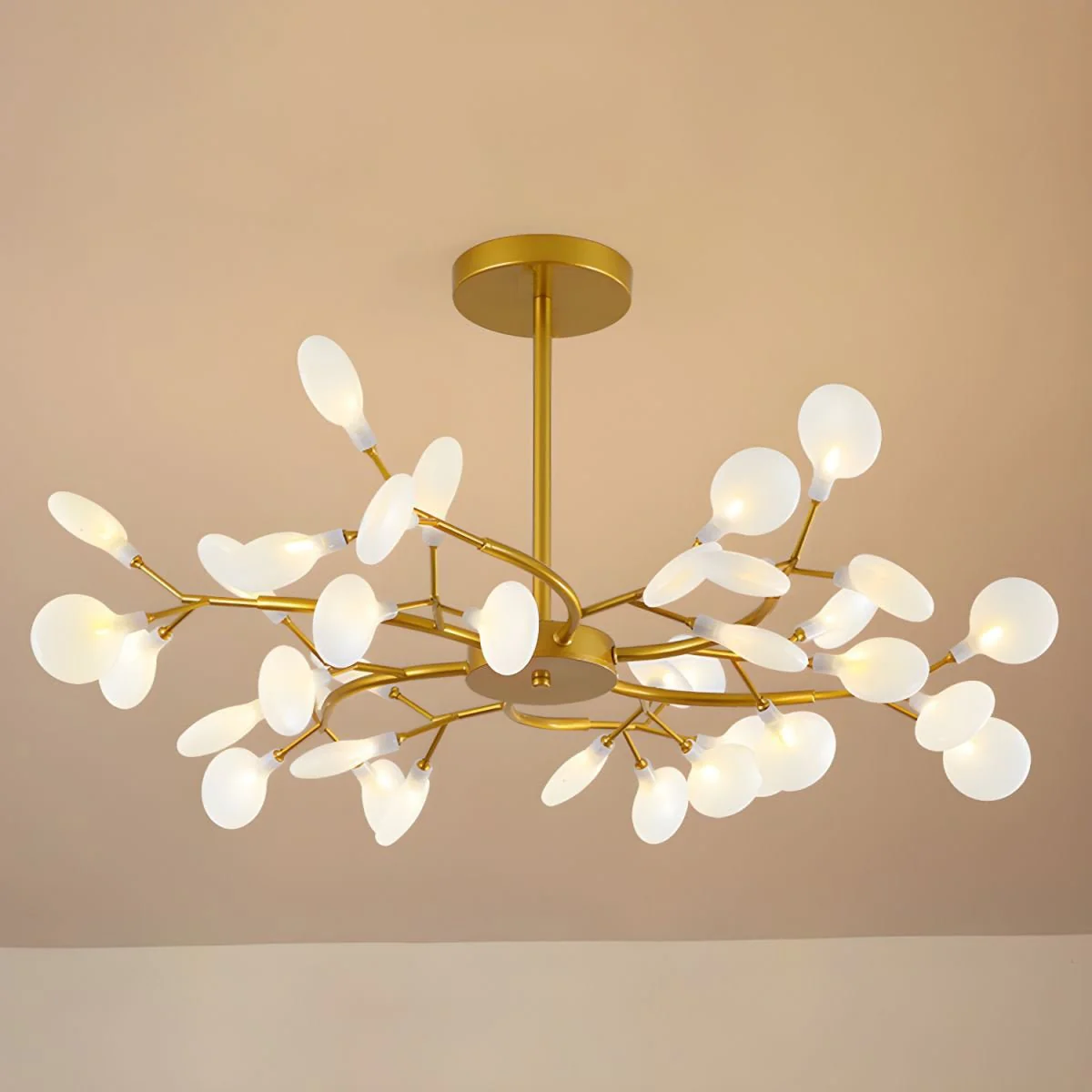 Product image 69