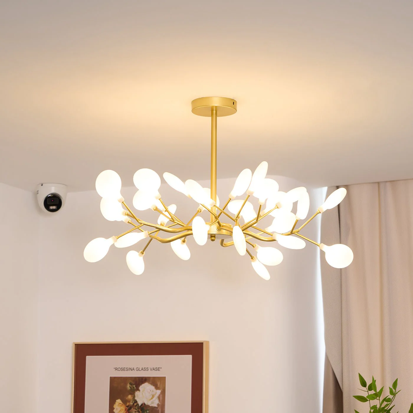 Product image 72