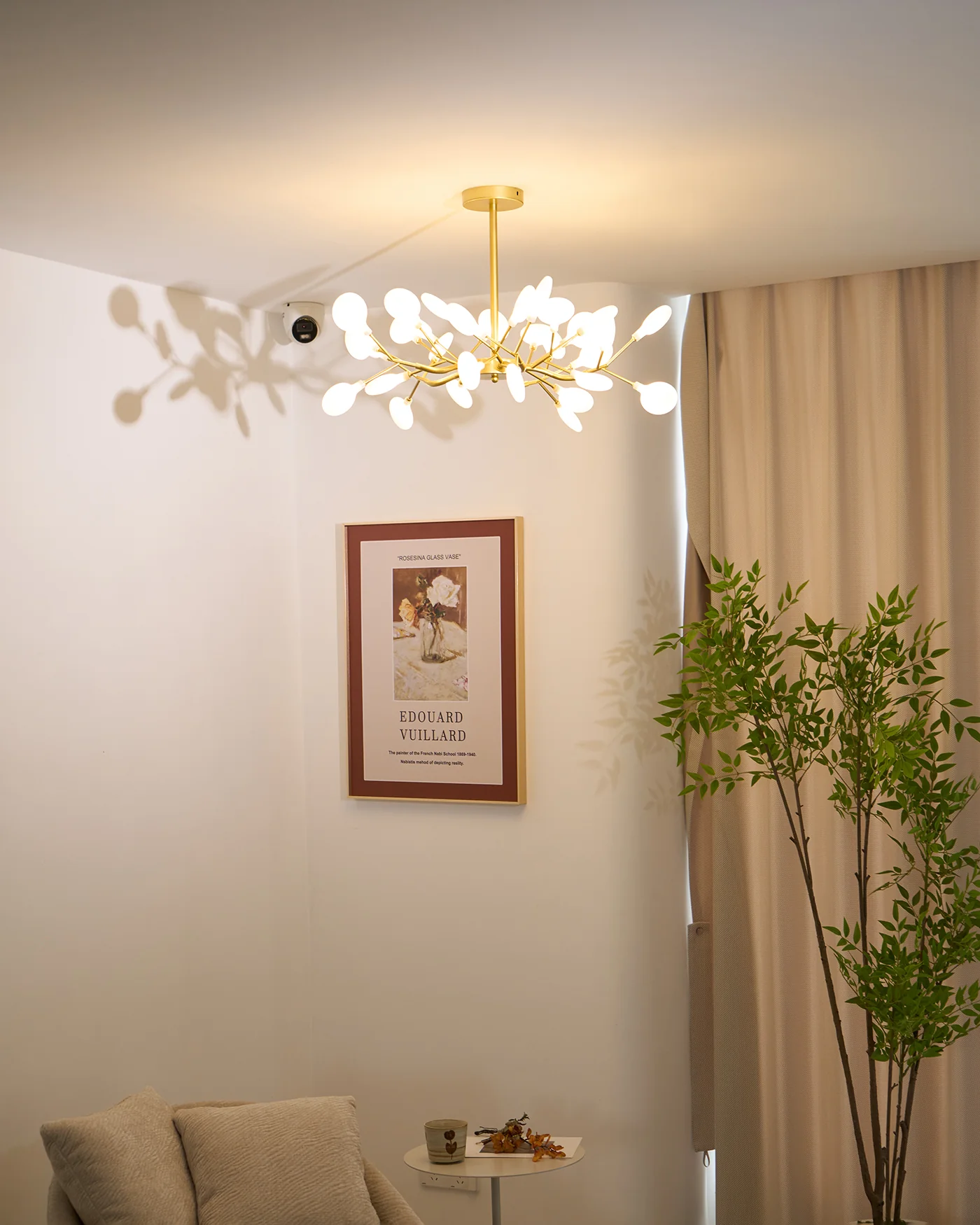 Product image 81