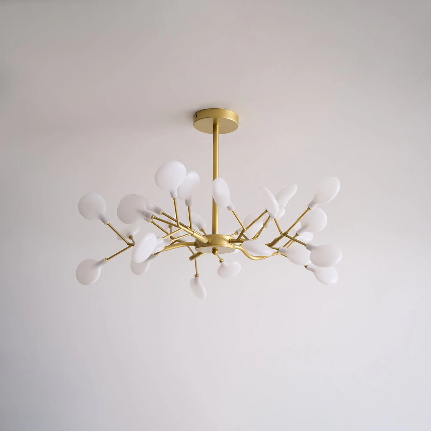 Product image 82