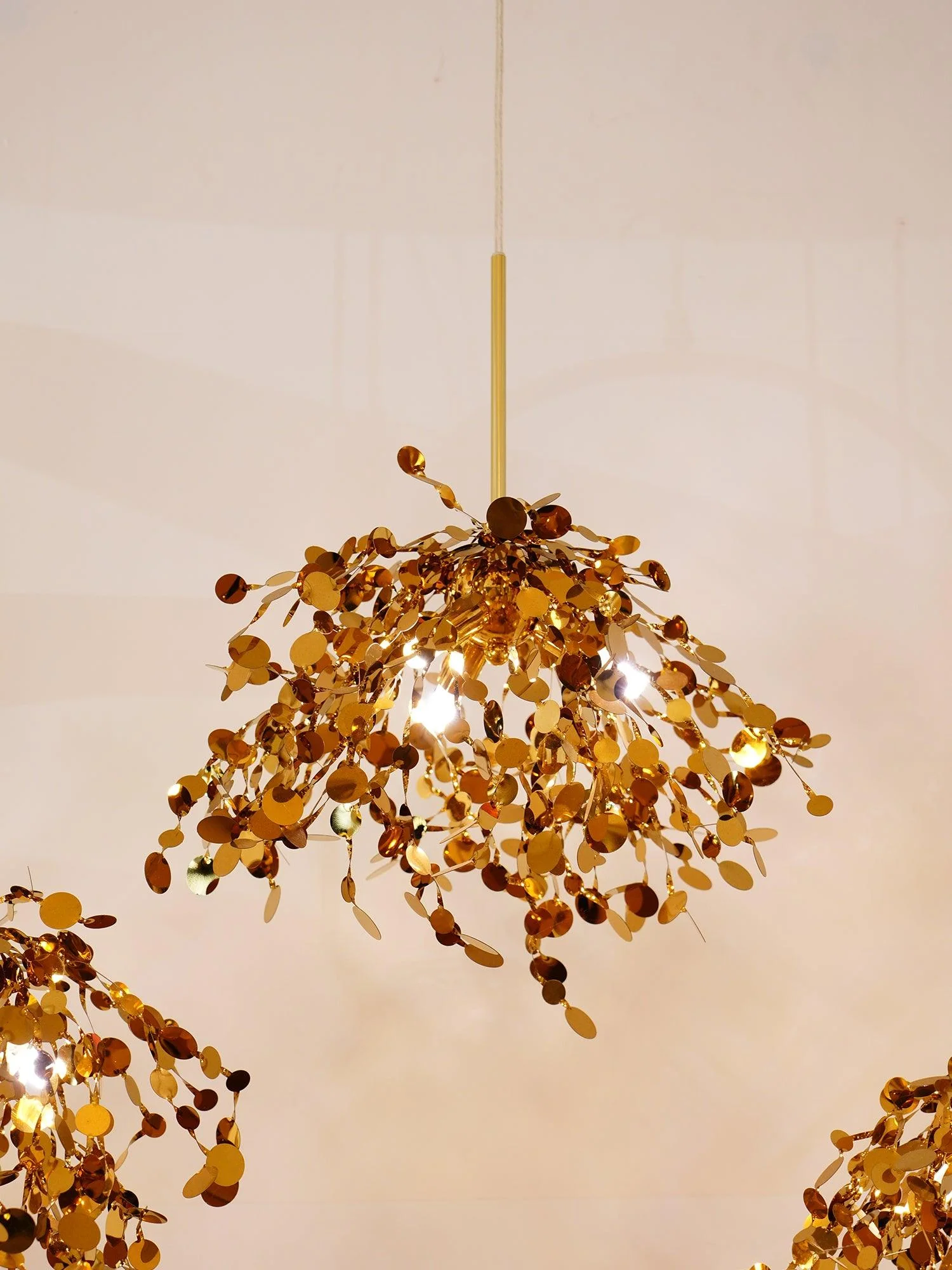 Product image 77