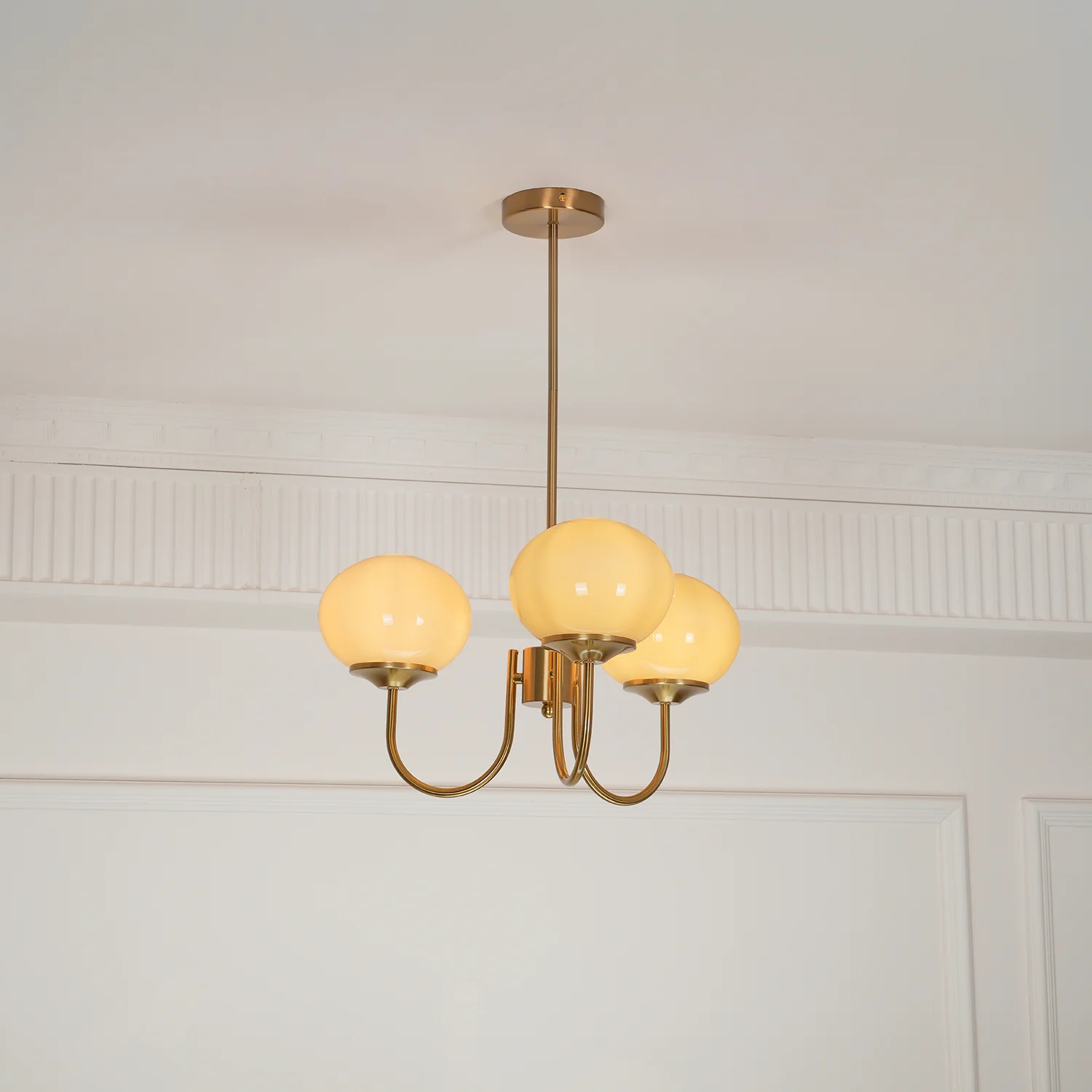 Product image 100