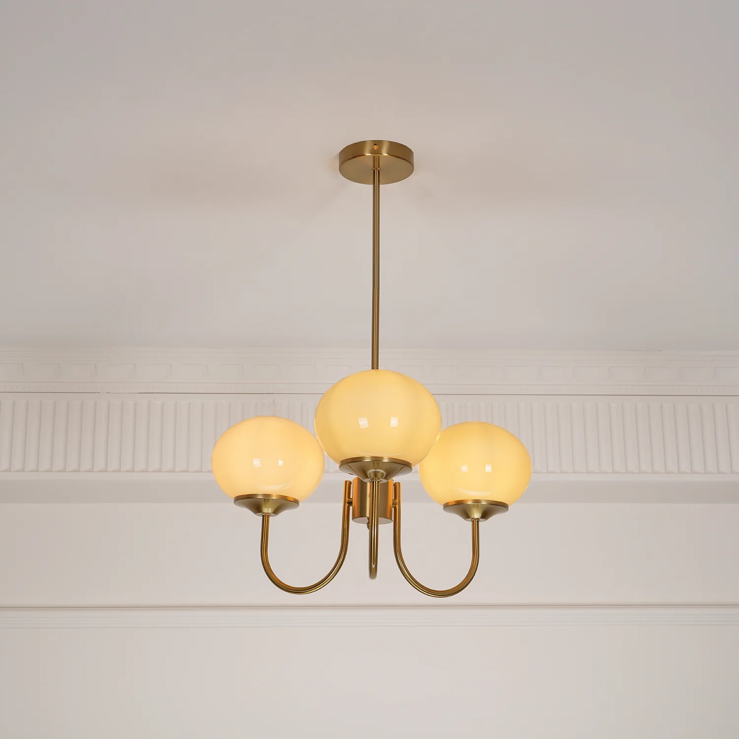 Product image 101