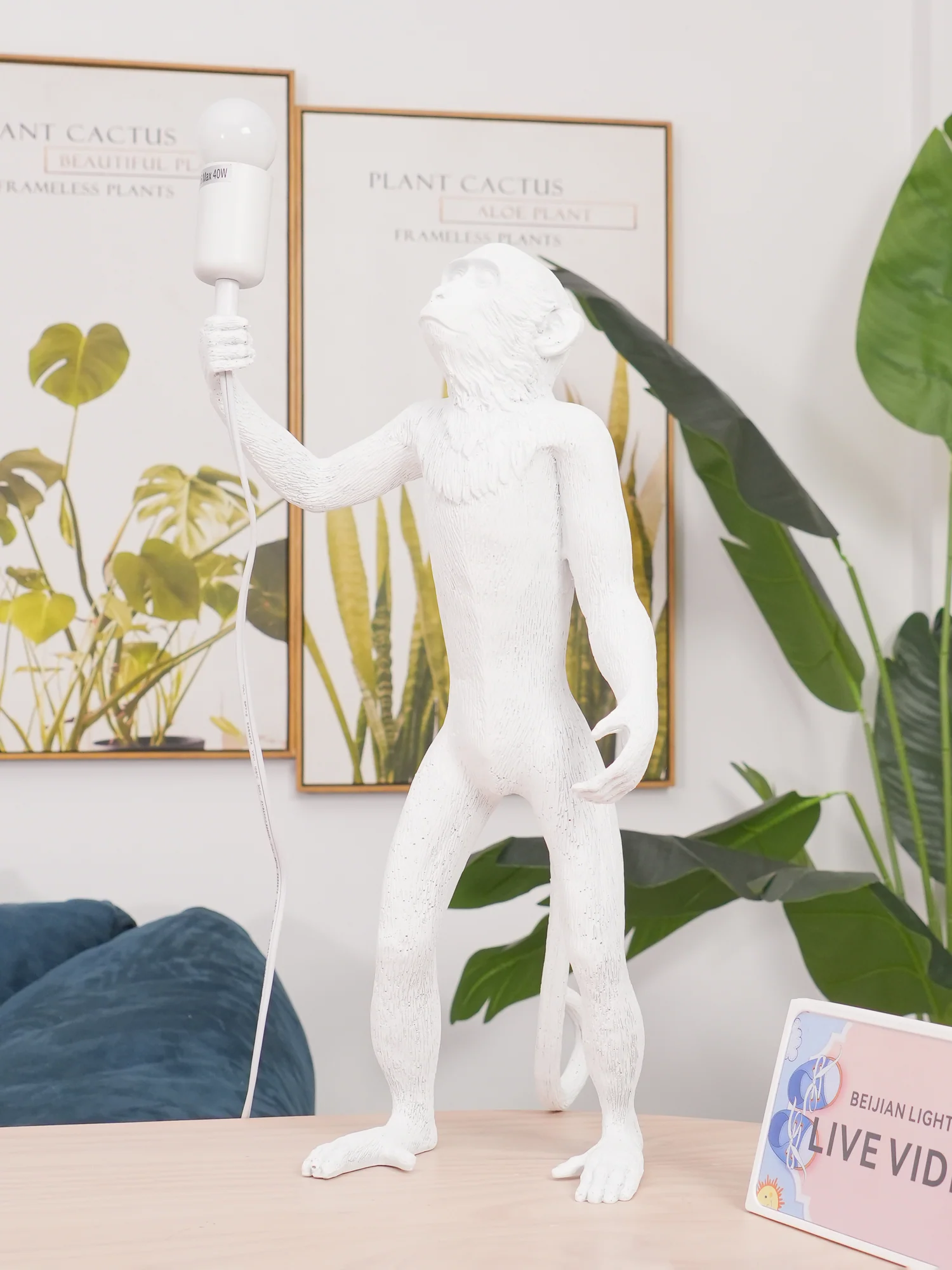 Product image 44