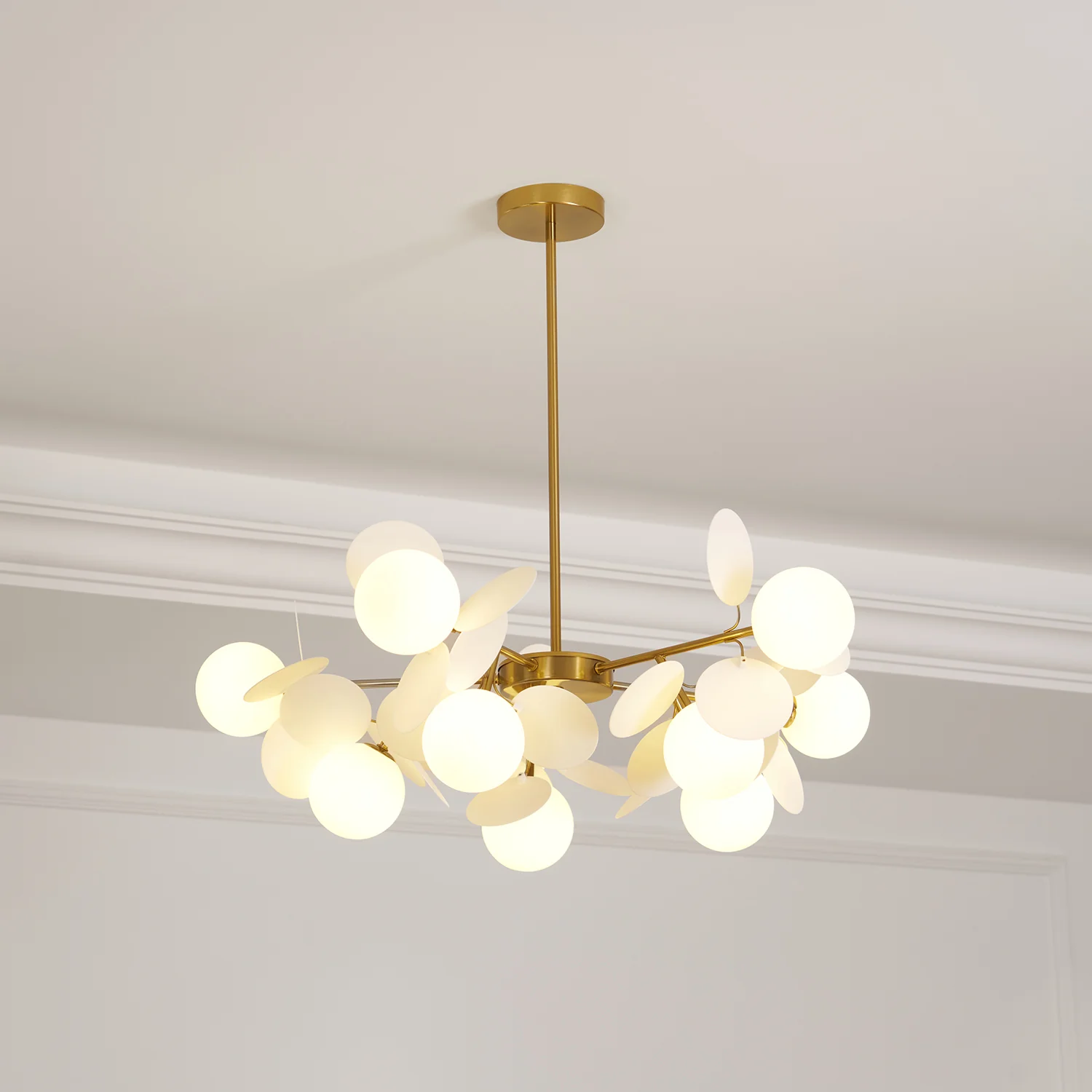 Product image 62