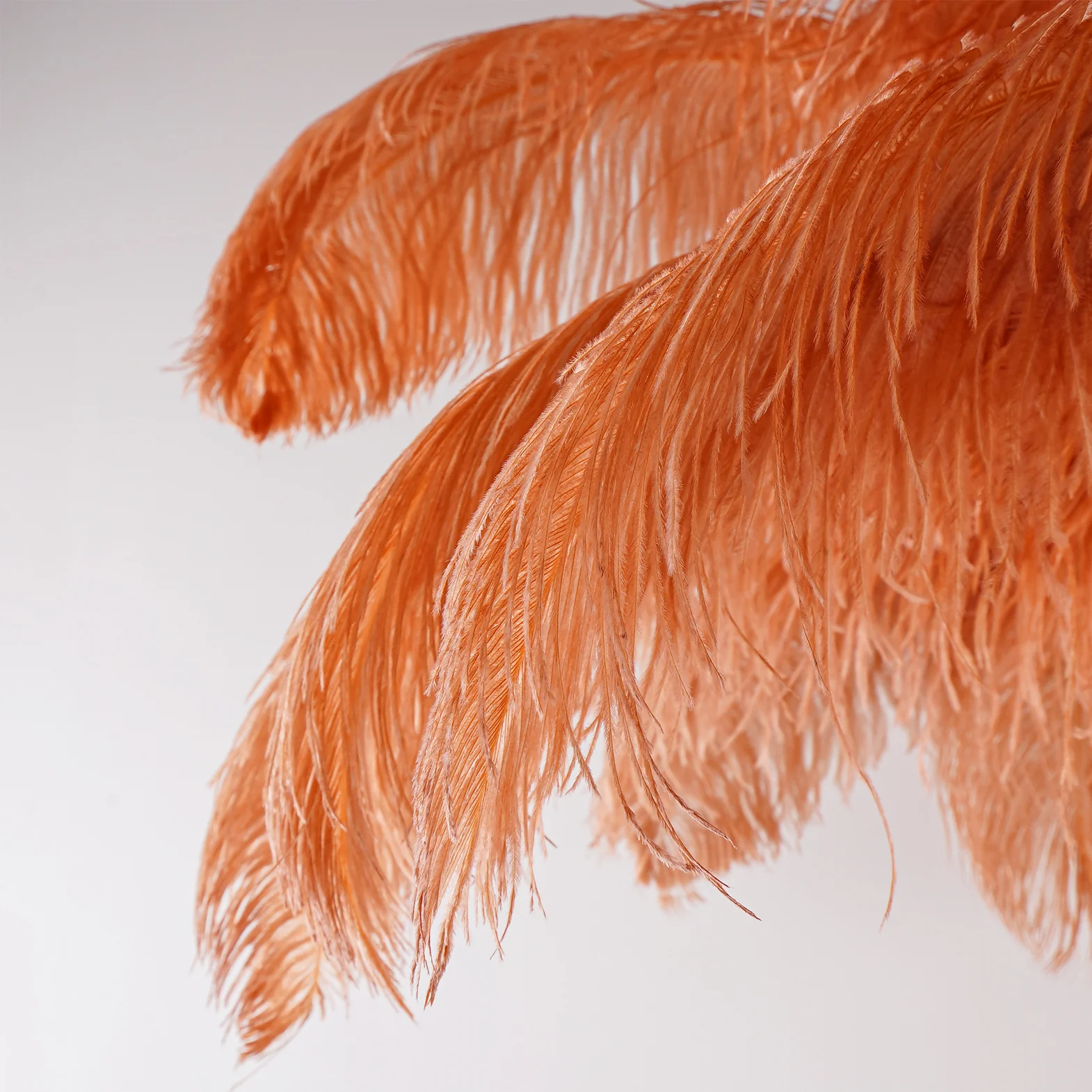 Product image 143