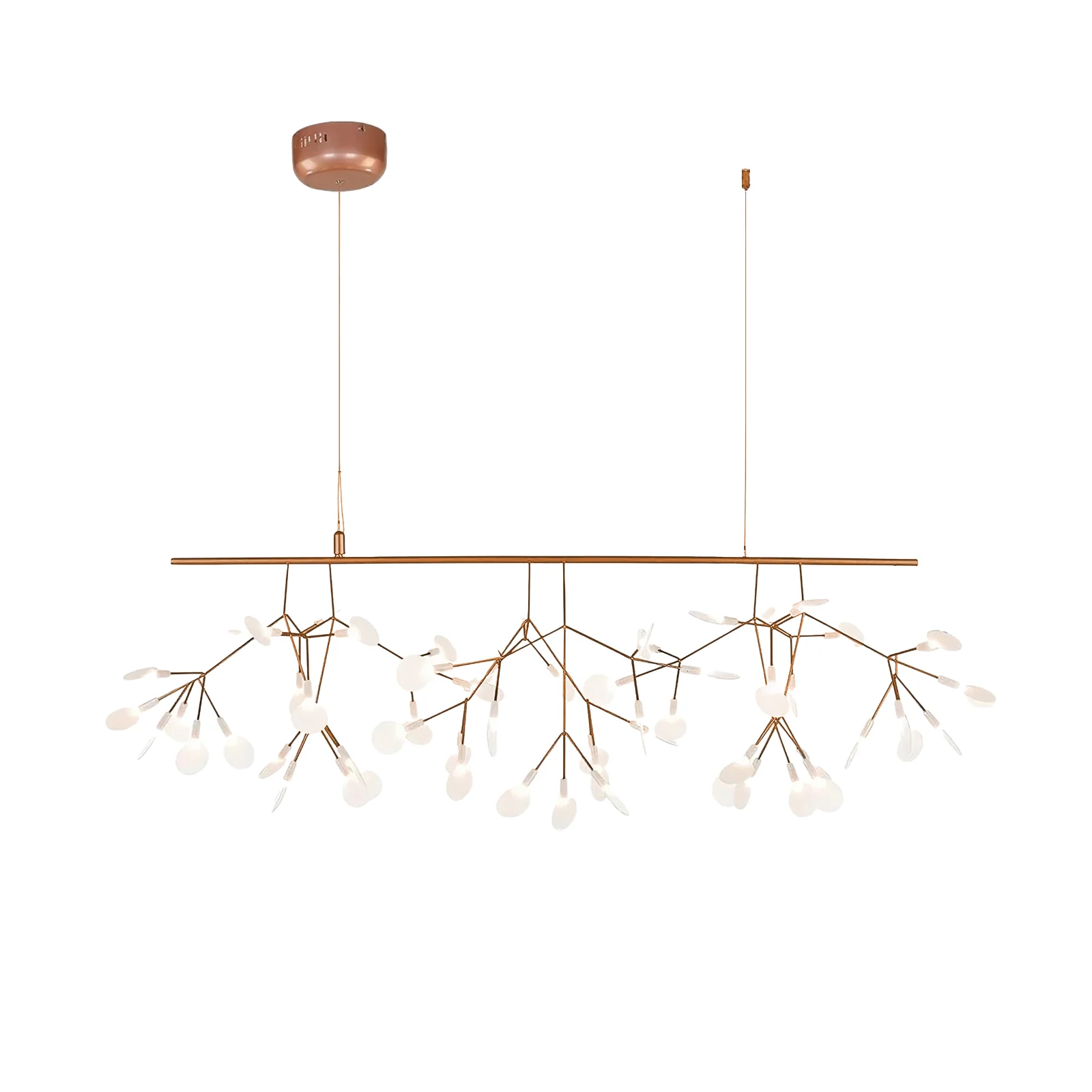 Product image 66