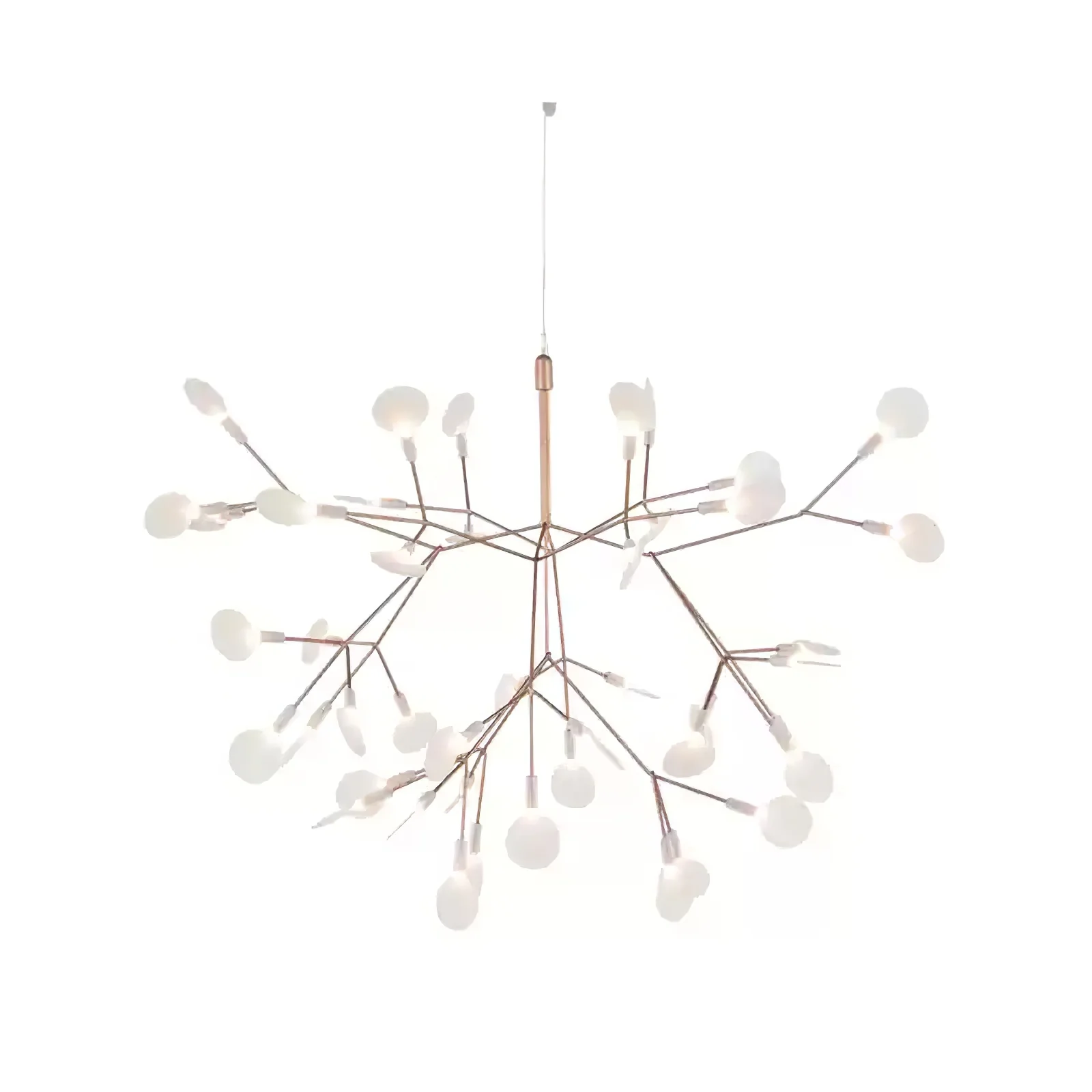 Product image 70