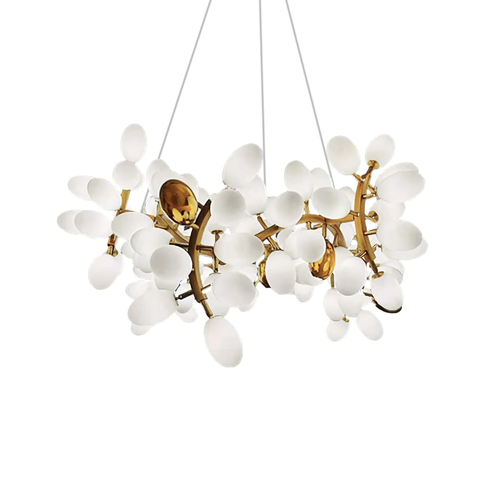 Product image 51