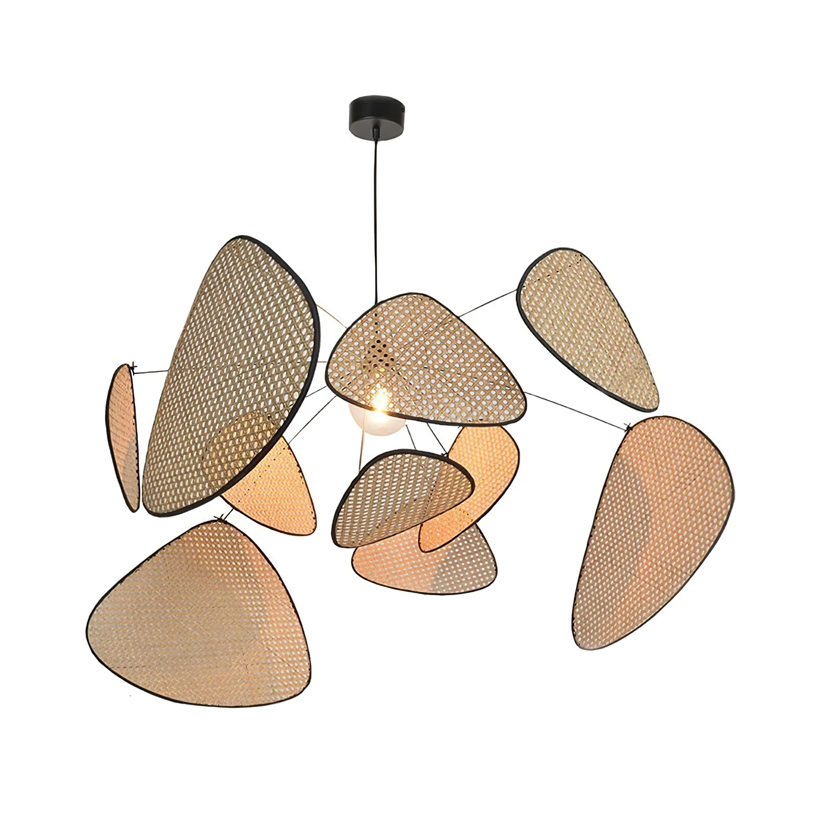 Product image 66