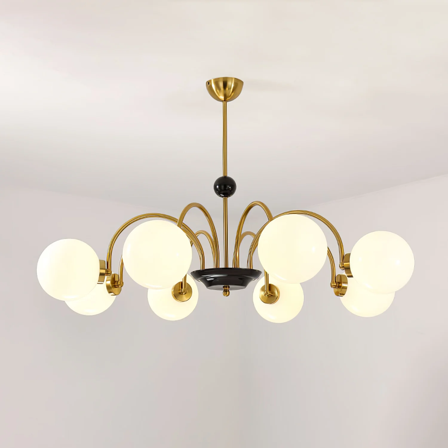 Product image 101